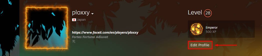 كيفية إخفاء النشاط الأخير على ستيم Steam 13