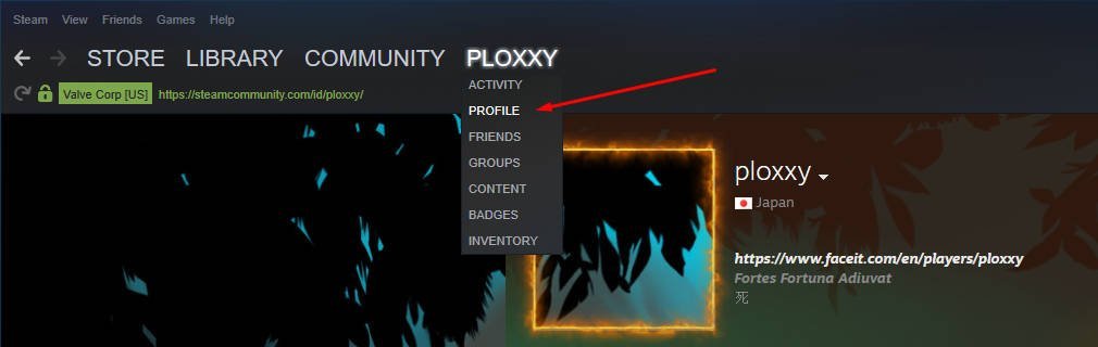 كيفية إخفاء النشاط الأخير على ستيم Steam 12